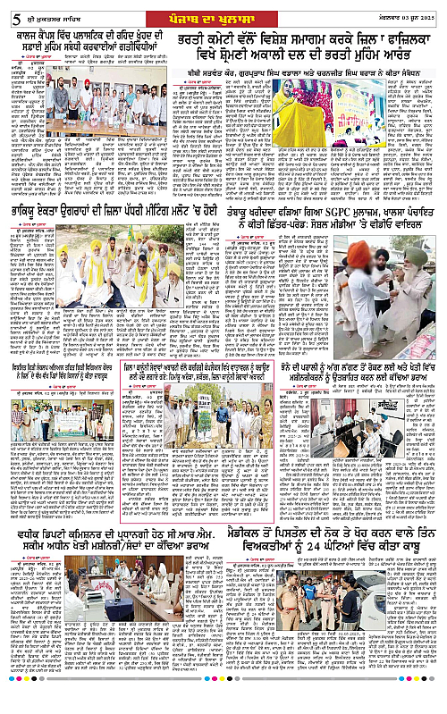 Page 5