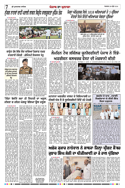 Page 7