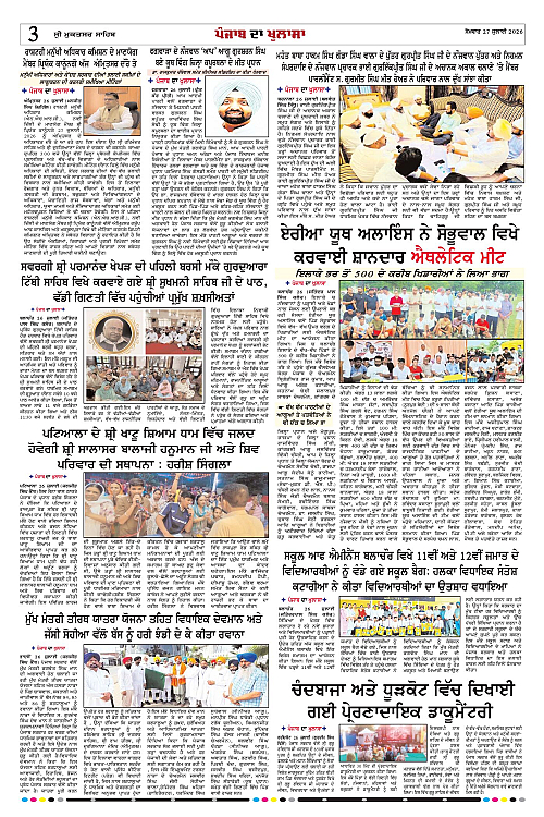 Page 3