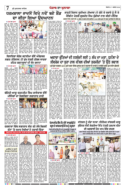 Page 7