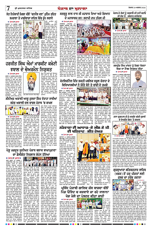 Page 7