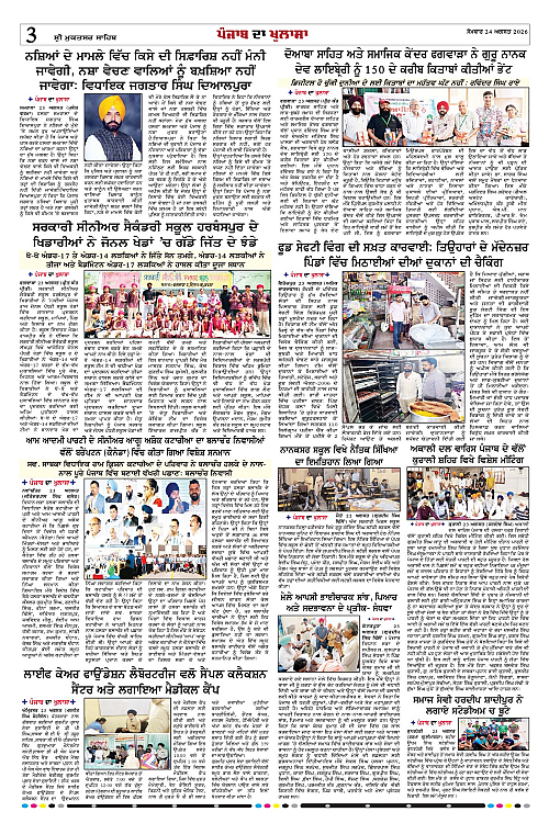 Page 3