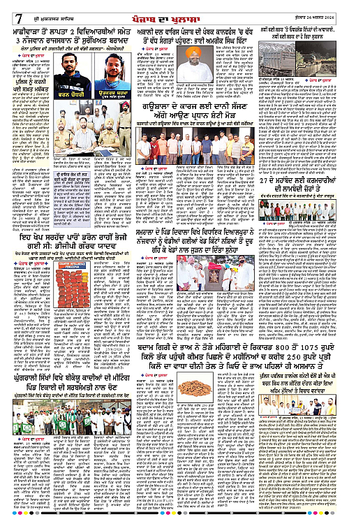 Page 7