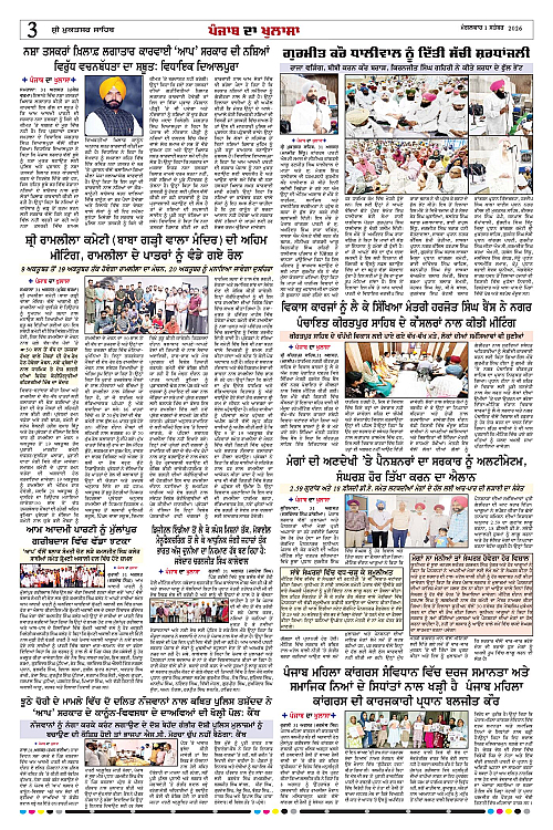 Page 3