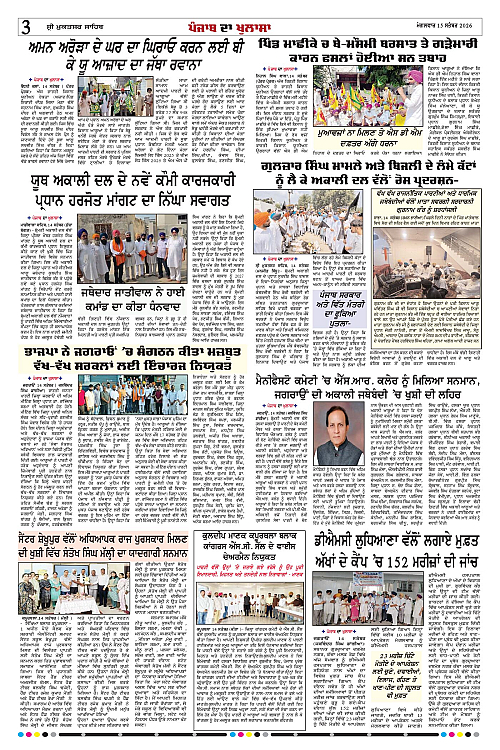 Page 3